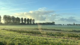 IMG_9302.jpeg