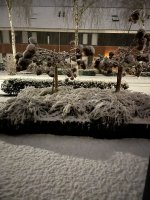 ffe081ba-1d88-4195-aa9e-2cb72523ce10.jpeg