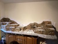 IMG_1350.jpeg