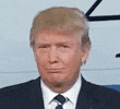 1000287744.gif