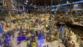 IMG_1183.JPEG