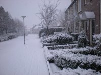 Sneeuw 17-12-09 005.JPG