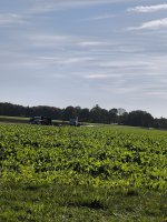 IMG_20251018_130412.jpg
