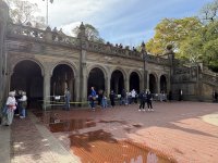 IMG_4270.jpeg