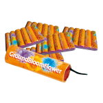 26860402-ground-bloom-flower-36-stuks.png