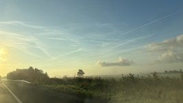 IMG_9305.jpeg
