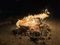 IMG_1459-compressed.jpeg