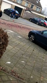 IMG_1196.JPEG