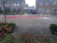 Voortuin.jpg