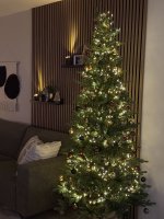 IMG_6109.jpeg