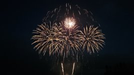 1000312461.jpg