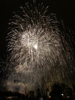 IMG_0132.jpg