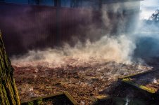 463034708_9156703124393908_2232867622398578489_n.jpg 463034708_9156703124393908_2232867622398578489_n.jpg