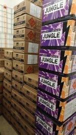 IMG20251103171017.jpg IMG20251103171017.jpg