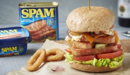 Loaded-SPAMburger.jpg