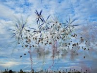 d218c133-a034-41df-9f7a-40ca1adffbc5.jpeg d218c133-a034-41df-9f7a-40ca1adffbc5.jpeg