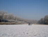 viersprong in winter 1.jpg