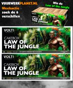 VWcrew weekactie 12.jpg