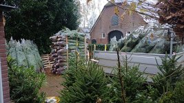 20251128_091219.jpg 20251128_091219.jpg