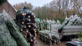 20251128_091237.jpg 20251128_091237.jpg