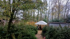 20251128_091314.jpg 20251128_091314.jpg