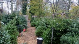 20251128_091336.jpg 20251128_091336.jpg