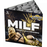 vuurwerktotaal-milf-mommy-i-love-fireworks-676d6f195f662996413005.png