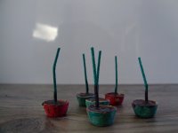 DSCF5979.jpg