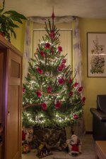Kerstboom pica 1 (11 van 14).jpg