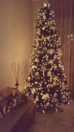 20141207_173621.jpg