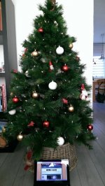 kerstboom2014.jpg