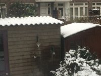 photo 2.jpg