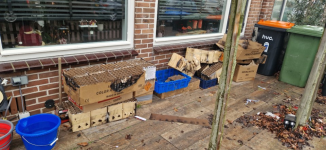 1767345613588.png 1767345613588.png