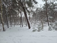 20260107_163507(1).jpg 20260107_163507(1).jpg