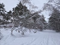 20260107_165312(1).jpg 20260107_165312(1).jpg