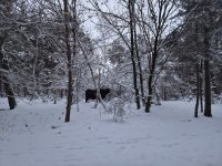 20260107_165602(1).jpg 20260107_165602(1).jpg