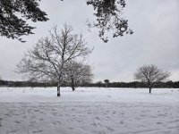 20260107_164420.jpg 20260107_164420.jpg