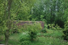 DSC_0280.JPG DSC_0280.JPG