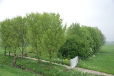 DSC_0282.JPG DSC_0282.JPG