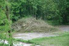 DSC_0286.JPG DSC_0286.JPG