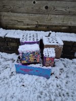 WhatsApp Image 2026-01-03 at 11.10.33.jpeg