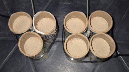 Orcs 5.jpg Orcs 5.jpg