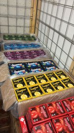 WhatsApp Image 2026-03-25 at 11.33.51.jpeg