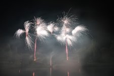 DSC_3517.jpg