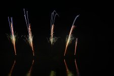 DSC_3556.jpg