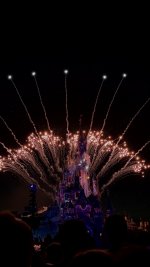 IMG_9200.jpeg