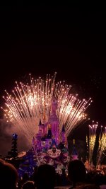 IMG_9207.jpeg