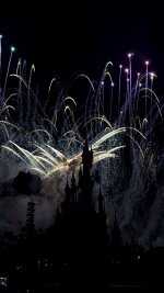 IMG_9230.jpeg