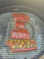 Ribs 5 uur klaar.jpg