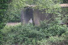 DSC_3598.jpg